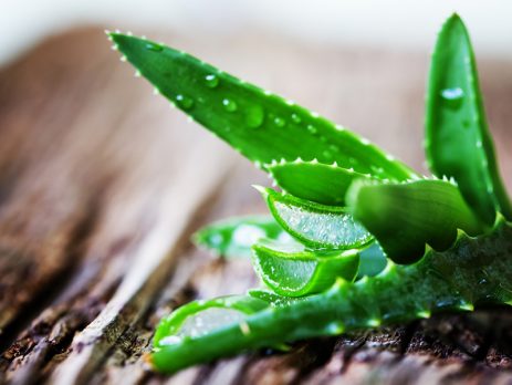 Bitkisel Kozmetik Nedir?