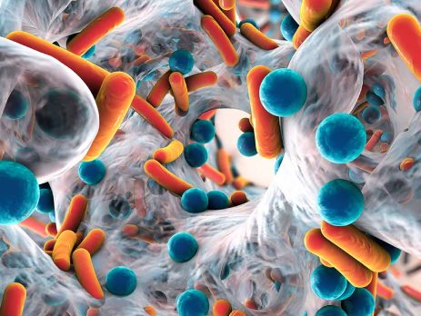 Bitkisel Kaynaklı Bazı Doğal Antimikrobiyaller