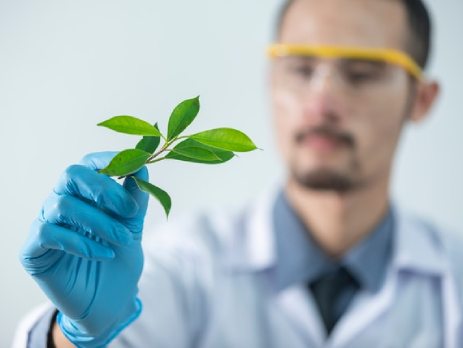 Doğal Olduğundan Nasıl Emin Olabilirim?