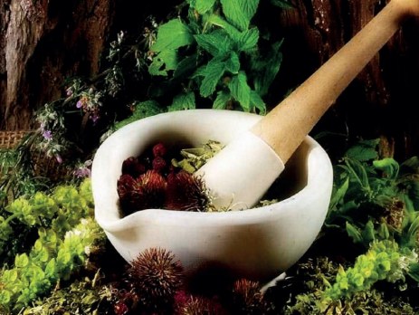 Tıbbi Bitkisel Ürünler